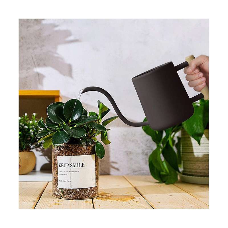 Watering Can Indoor Plants, 35 /1000 Ml Metal Stainless Steel Watering Can Pot with Long Spout For
