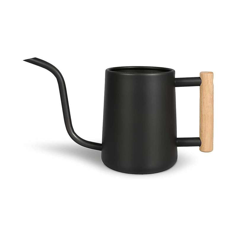 Watering Can Indoor Plants, 35 /1000 Ml Metal Stainless Steel Watering Can Pot with Long Spout For
