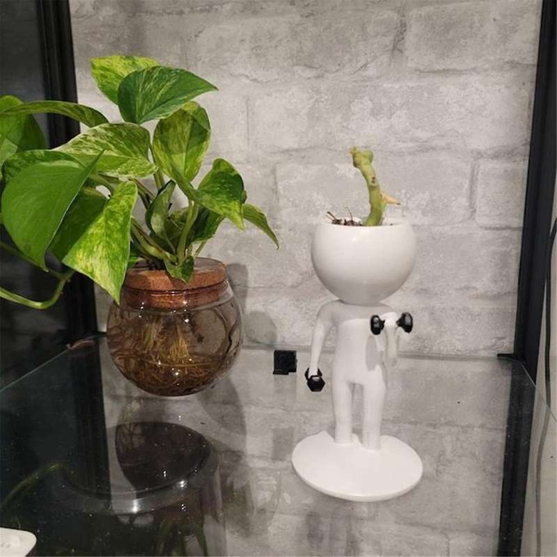 Weightlifting Succulent Flower Pots, Gym Succulent Flower Pots, Fitness Succulent Flower Pots
