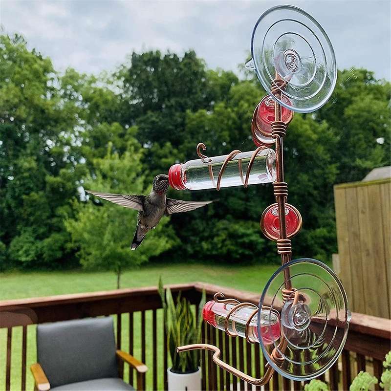 Window Bird Feeder Feeder Animal Window Bird Feeder Suction Cup Glass Decoration