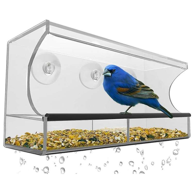 Window Bird Feeder, Wild Bird Feeder, Transparent Window Bird Feeder, Exquisite Bird Watching Gift