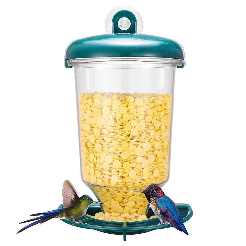 Window with Strong Suction Cup, Removable Hanging Watch Backyard From Your House