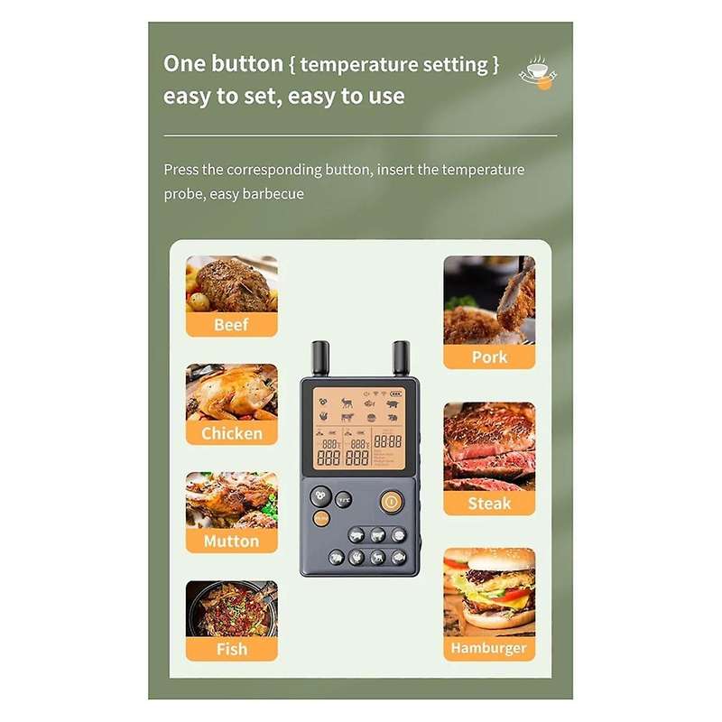 Wireless Meat Thermometer Dual Probes Food Thermometer with Amplifier 100M Transmission Distance for