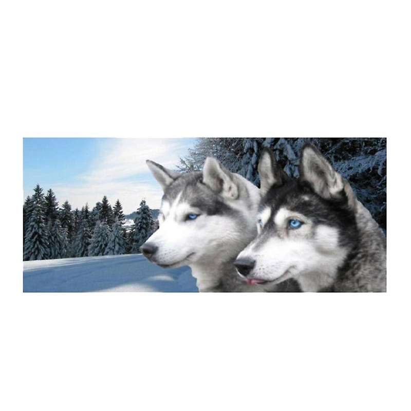 Wolf for Truck Suv Pickup 3D Rear Windshield Decal Sticker Decor Rear Window Glass Poster 66.1 x 29.