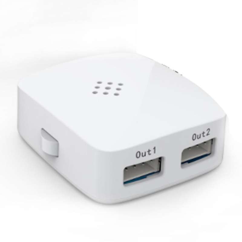 WS2812B WiFi Voice 2 Output SPI Alexa Google Home Controller for WS2811 WS2812 WS2815 Light Strip DC