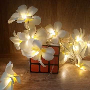 Battery Powered 3M 5M Frangipani Shaped Warm White Fairy String Light for Christmas P... (METER: 3M)