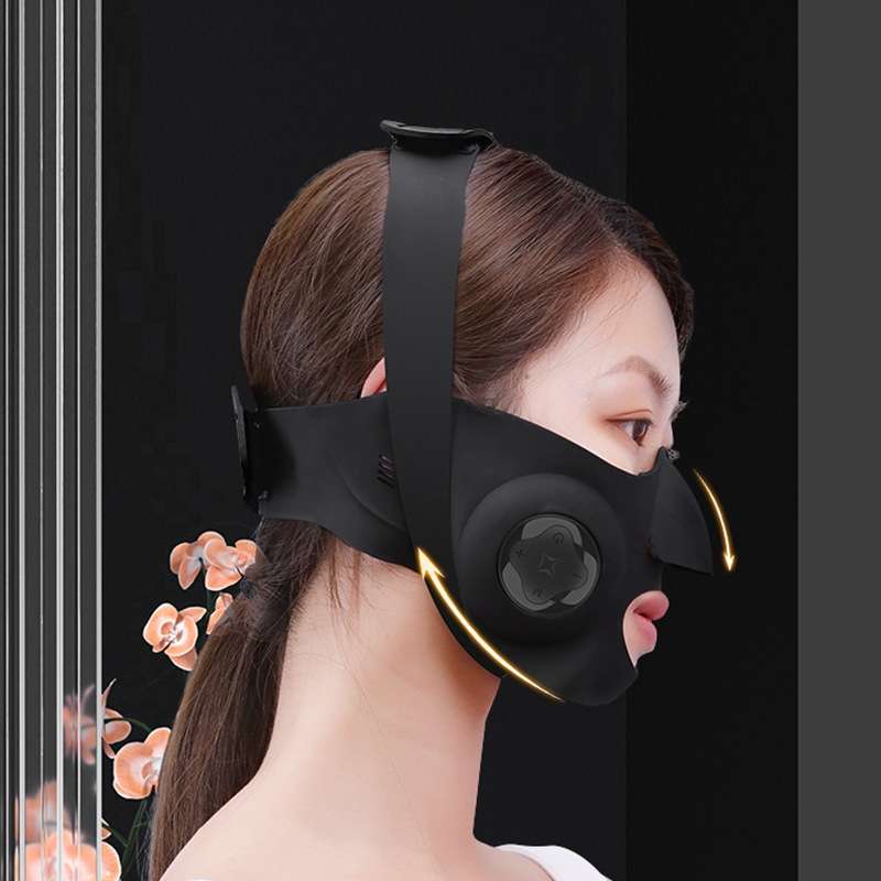 Face Massage Device Facial Household Beauty Instrument(Black)
