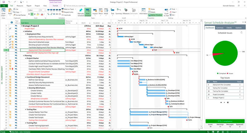 Microsoft Project 2016 Professional