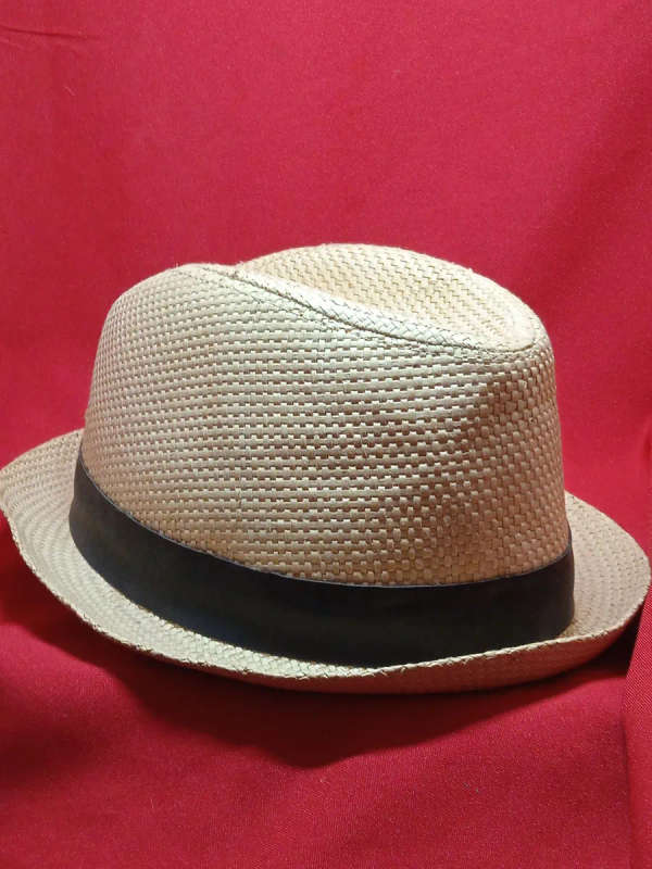GENUINE QUICKSILVER FEDORA