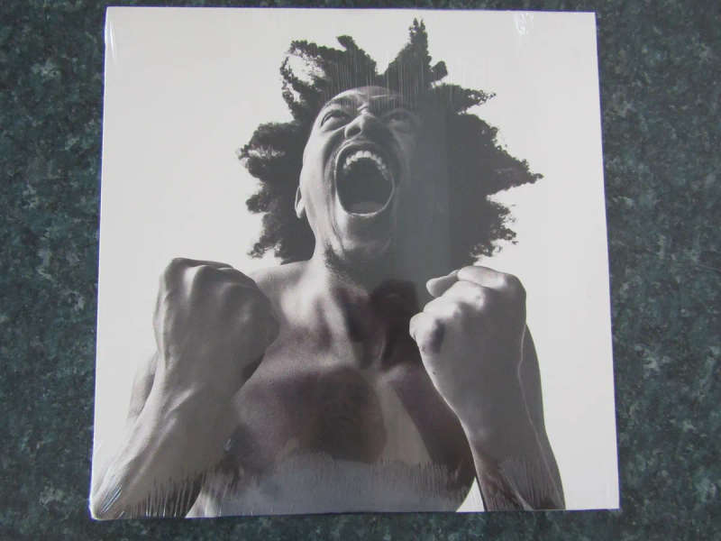Bobby Sessions - Manifest (LP)