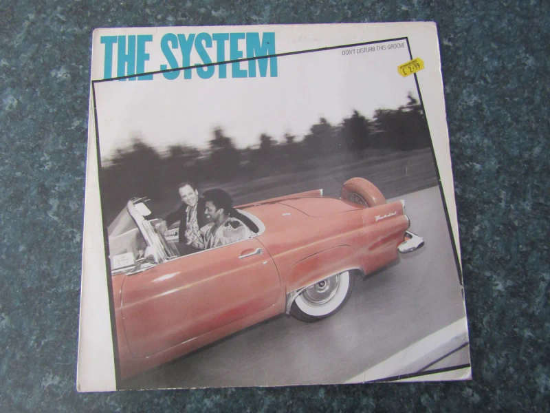 The System  Don't Disturb This Groove (LP)