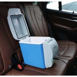 Portable Electronic Cooling and Warming Refrigerator