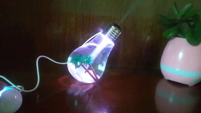 Bulb Humidifier