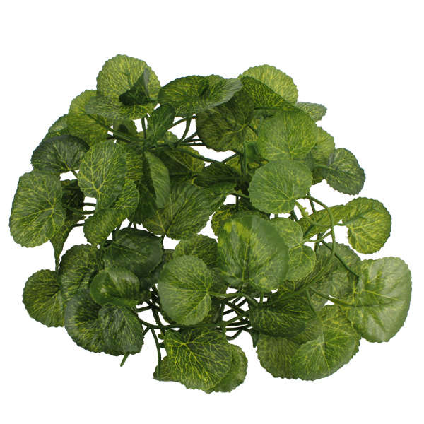 arfitical leaves