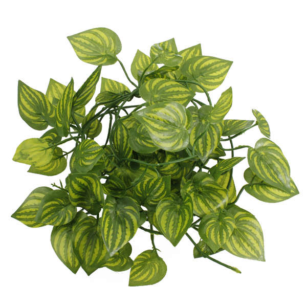 arfitical leaves