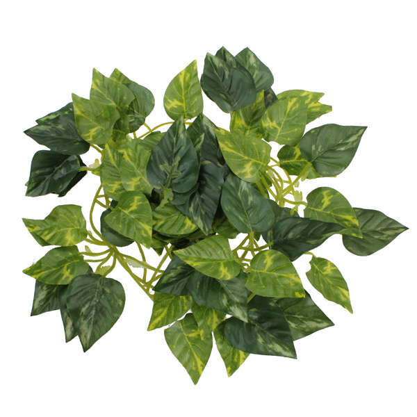 arfitical leaves