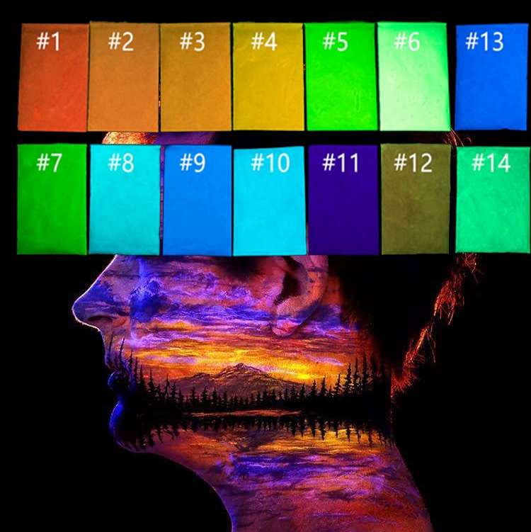 14 Colors Super Bright Luminous Powder Fluorescent Glow Pigment Long Life Span