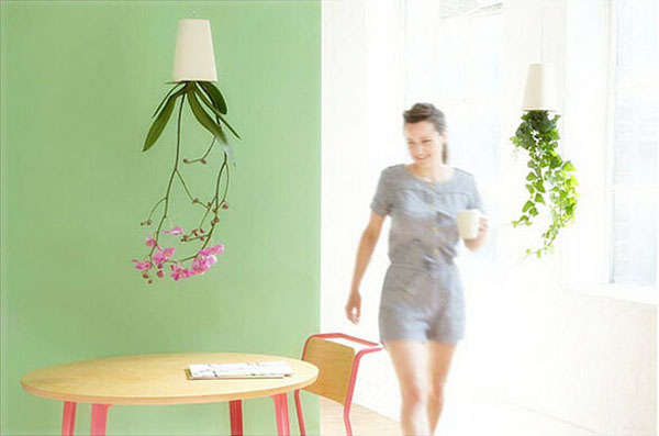 sky planter