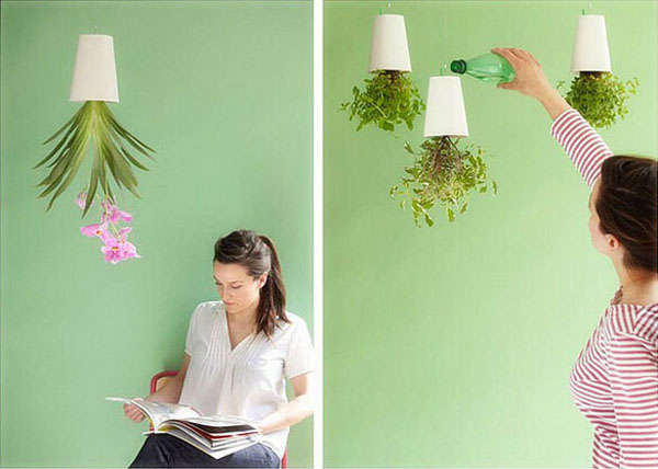 sky planter