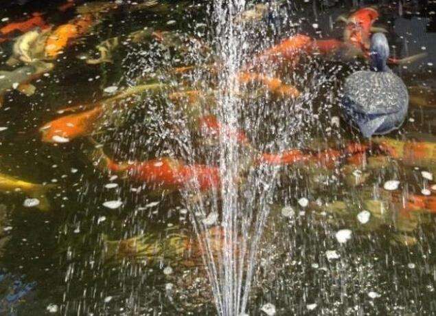 garden solar fountain