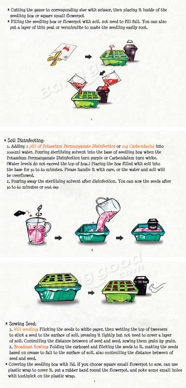 succulent plant planting way