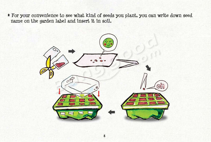 succulent plant planting way