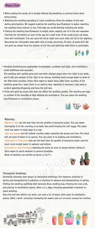 succulent plant planting way