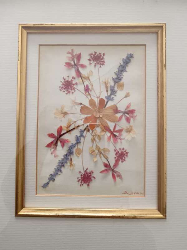 Pair of Beautifully Framed Pressed Botanical Flower Pictures