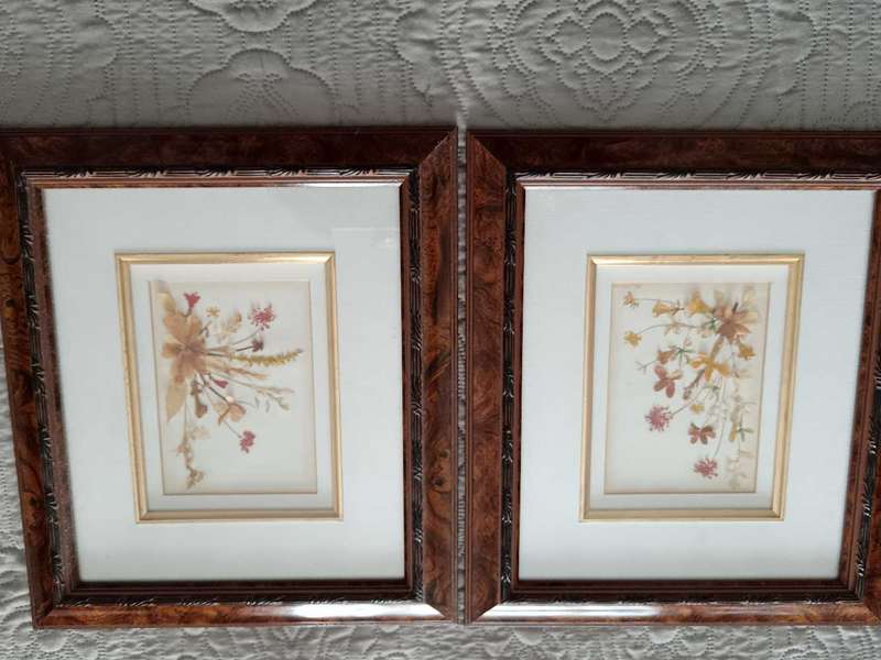 Pair of Beautifully Framed Pressed Botanical Flower Pictures