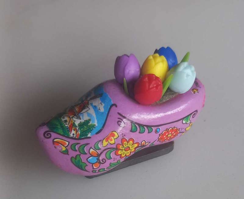Shoe fridge magnet