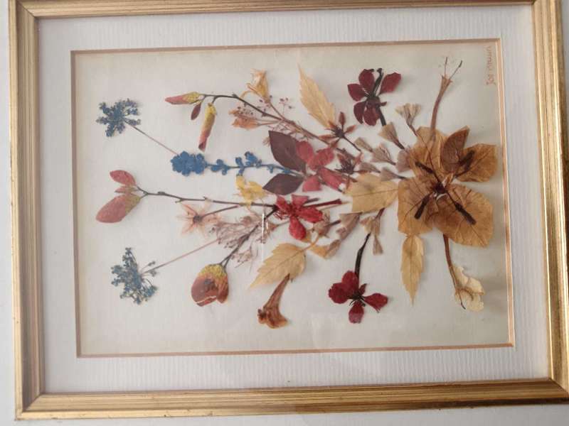 Pair of Beautiful Framed Pressed Botanical Flower Pictures by Joe Braun