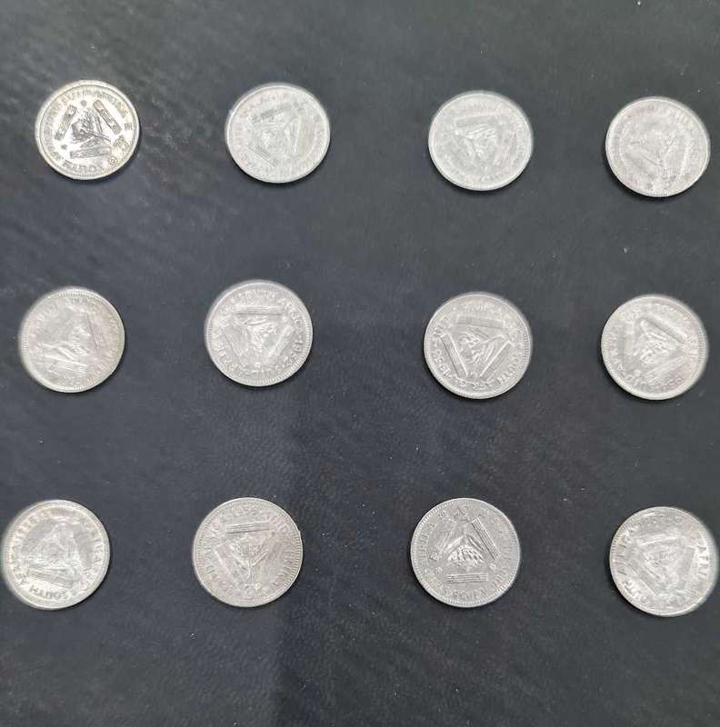 3D UNION OF SOUTH AFRICA COINS X12