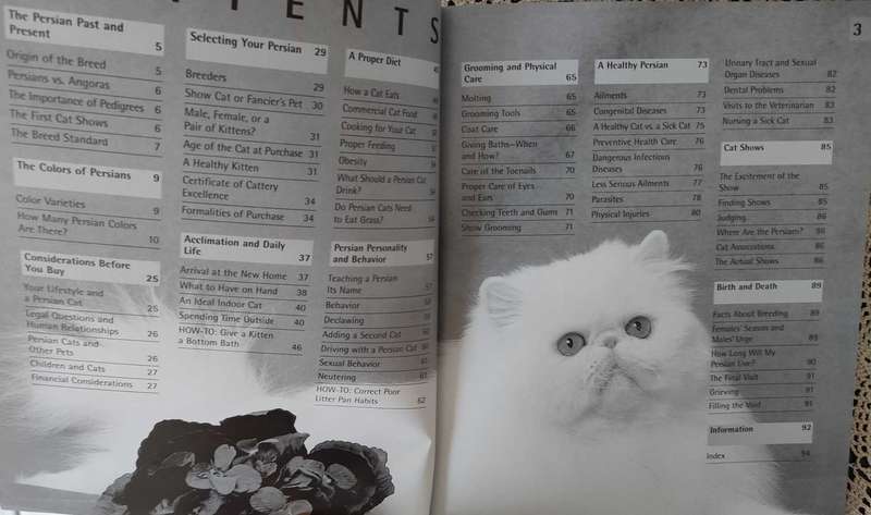 Persian Cats