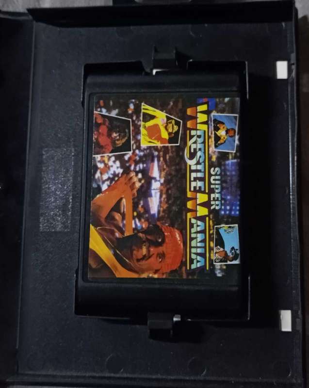 Super Wrestle Mania for Sega Mega Drive