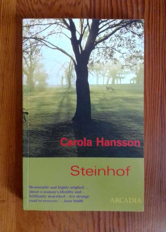 Steinhof by Carola Hansson