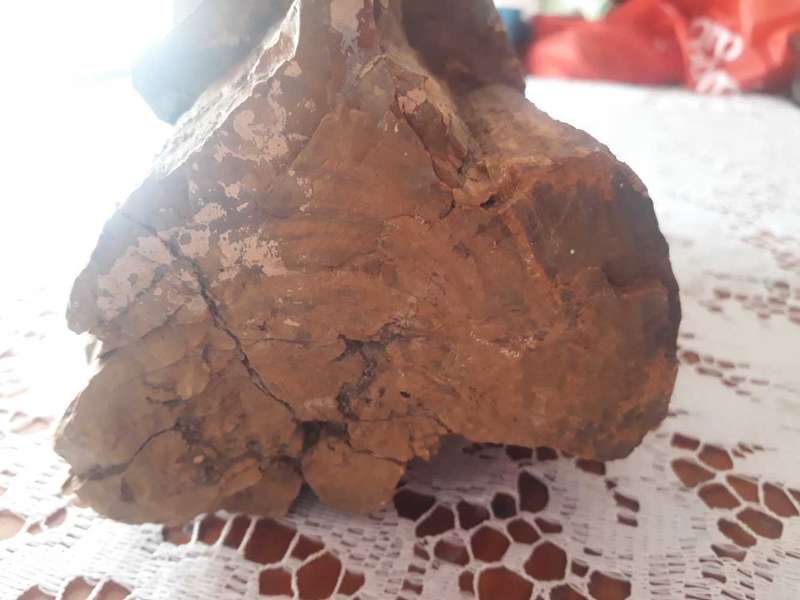 FOSSILIZED/PETRIFIED PIECE OF TREE/WOOD