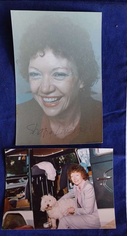 Die roeiers deur Shanie Joubert
