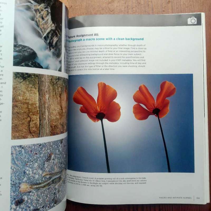 The Complete Guide to Nature Photography by Sean Arbabi