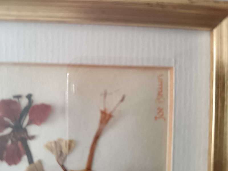Pair of Beautiful Framed Pressed Botanical Flower Pictures by Joe Braun
