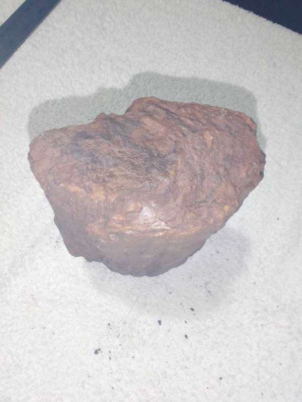 Petrified Wood pieces