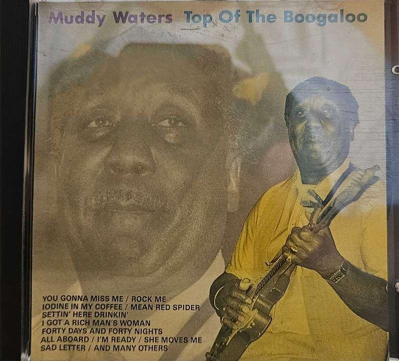 Muddy Waters Top of the Boogaloo   (239)
