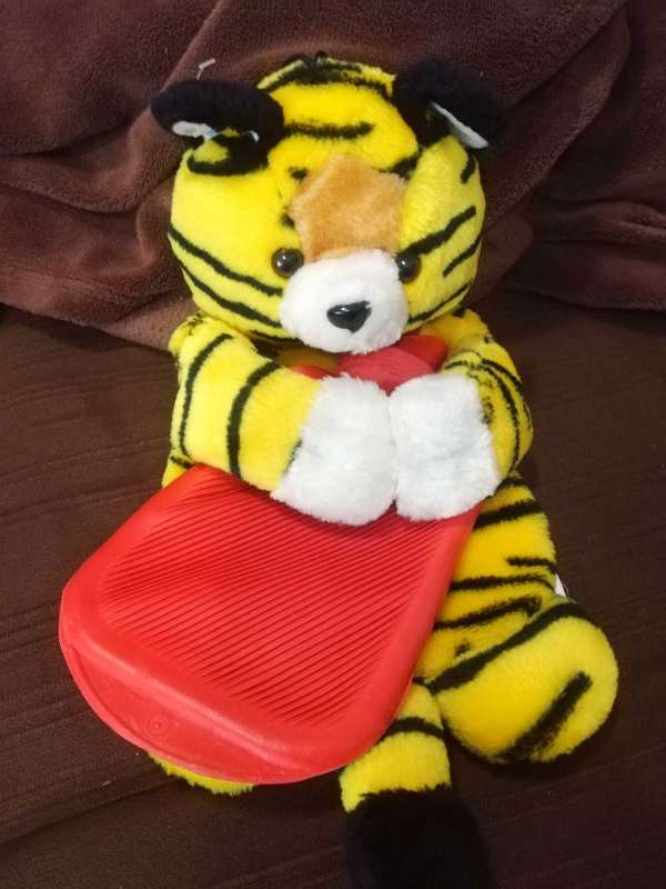Sasha the Tiger. A warm water bottle plush toy. 40cm.