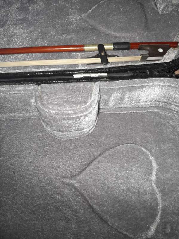 3/4 violin in Violin Case