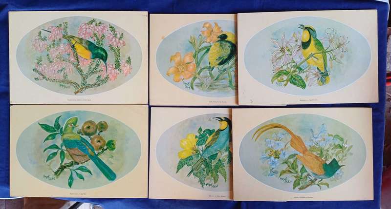6 x Vintage placemats