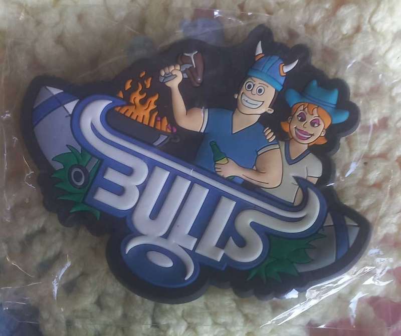 Bulls fridge magnet