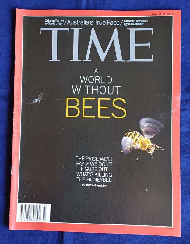 Time magazine August 19, 2013