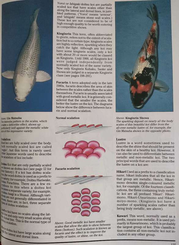 The Interpet Encyclopedia of Koi