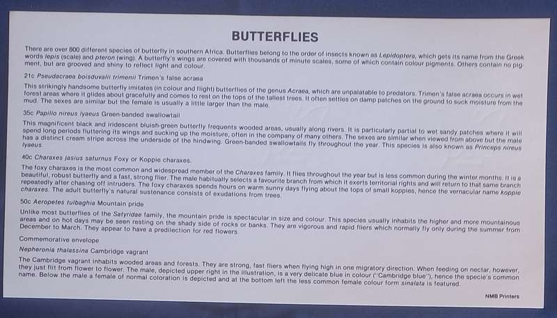 First day envelope - Butterflies Venda