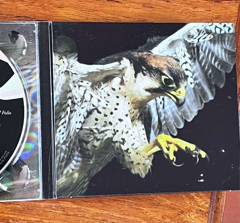cd The Courteeners - Falcon (2010)
