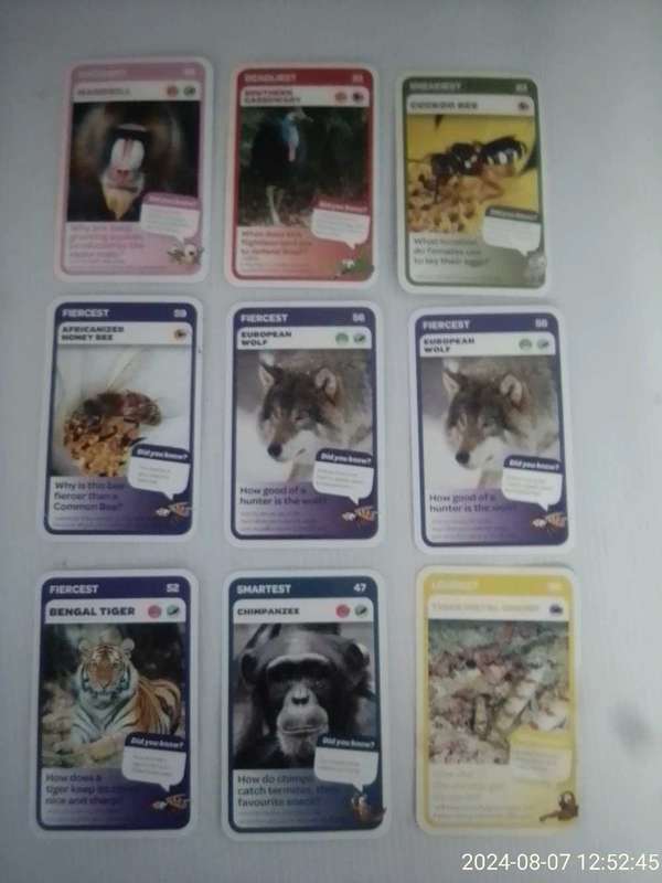 PICK N PAY SUPER ANIMALS COLLECTORS CARDS.
